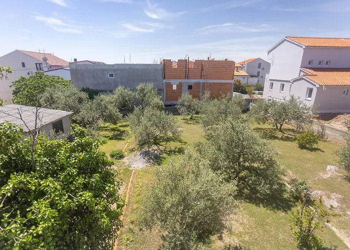 Near Hangar וודיצה